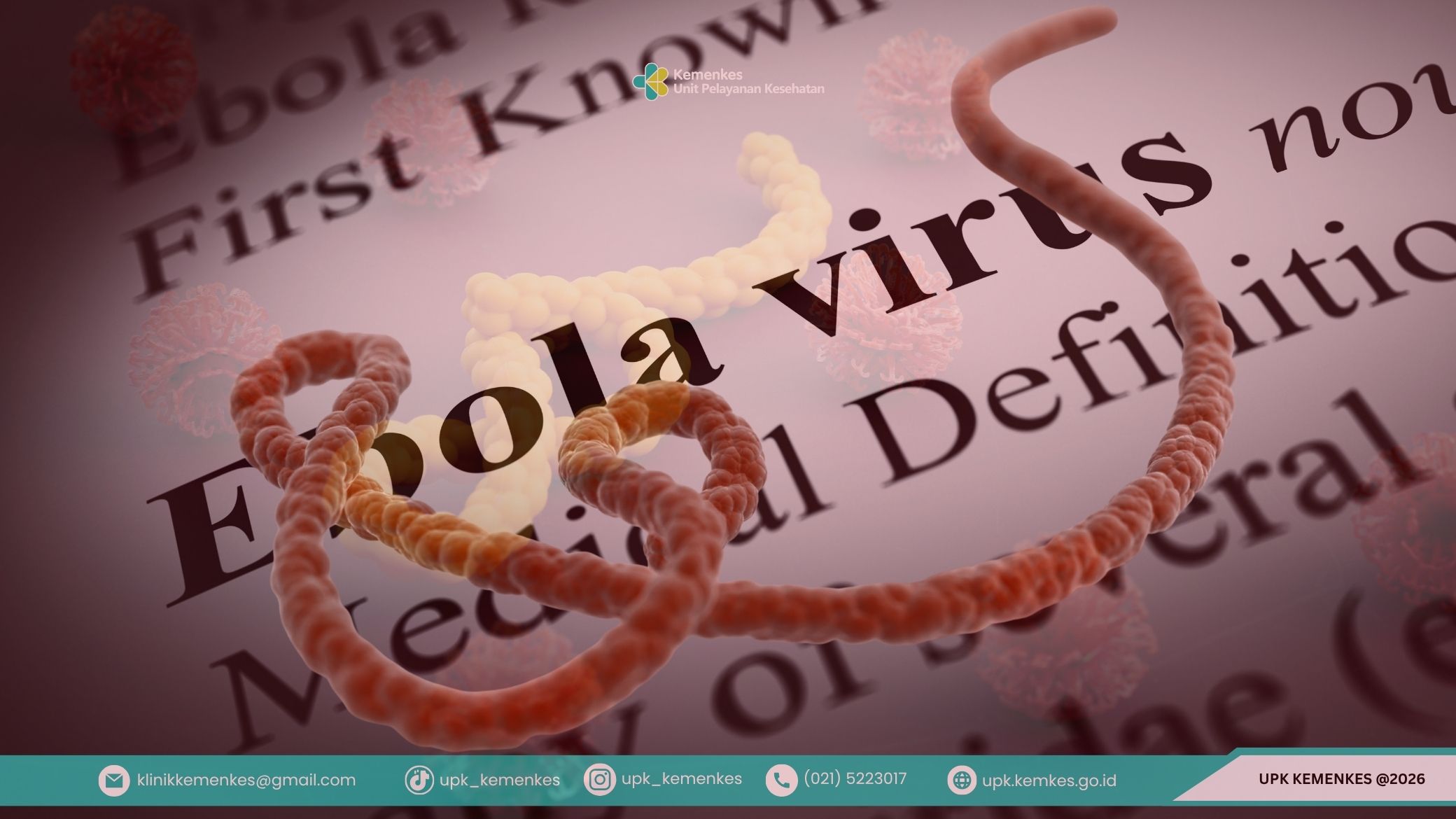 Memahami Virus Ebola: Lebih dari Sekadar Virus Mematikan Penyebab Pendarahan